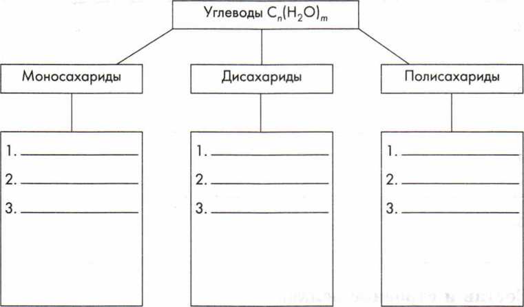 Заполните схему перечислив основные ид с кратким описанием